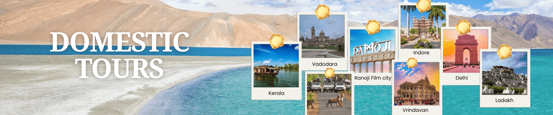 Domestic Tours